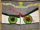 Шторы лобовые "ГЛАЗА" 2.2*0,85 серая алоба, бело-желт. кисть