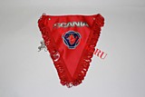 Вымпел треугольный бахрома "SCANIA" (20*26) Красный
