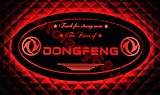 Табличка светящаяся в спальник DONGFENG овал 600х300 12-24v